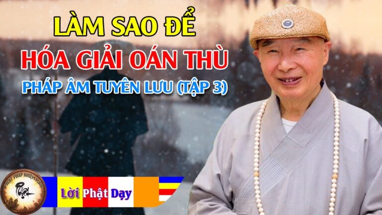 Làm sao để hóa giải oán thù | Pháp Âm Tuyên Lưu tập 3