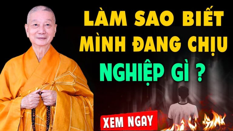 Làm sao biết mình đang MẮC NGHIỆP GÌ ? HT. Thích Trí Quảng (quá hay)