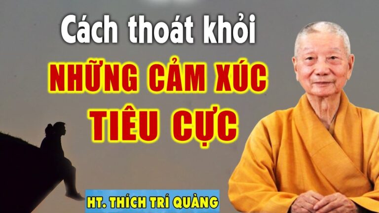 Làm gì khi người khác làm mình Khó Chịu – HT. Thích Trí Quảng (nên nghe)