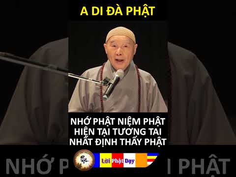 NHỚ PHẬT NIỆM PHẬT HIỆN TẠI TƯƠNG TAI NHẤT ĐỊNH THẤY PHẬT