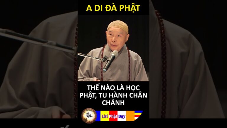 THẾ NÀO LÀ HỌC PHẬT, TU HÀNH CHÂN CHÁNH?