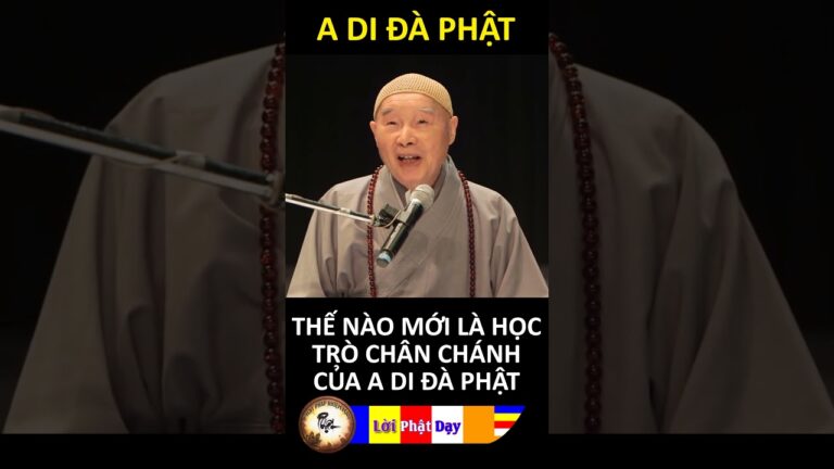 THẾ NÀO MỚI LÀ HỌC TRÒ CHÂN CHÁNH CỦA A DI ĐÀ PHẬT