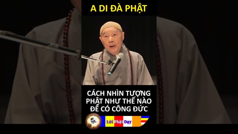 CÁCH NHÌN TƯỢNG PHẬT NHƯ THẾ NÀO ĐỂ CÓ CÔNG ĐỨC