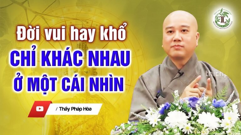 Chúng ta đau khổ vì cái nhìn sai lệch – Thầy Thích Pháp Hòa