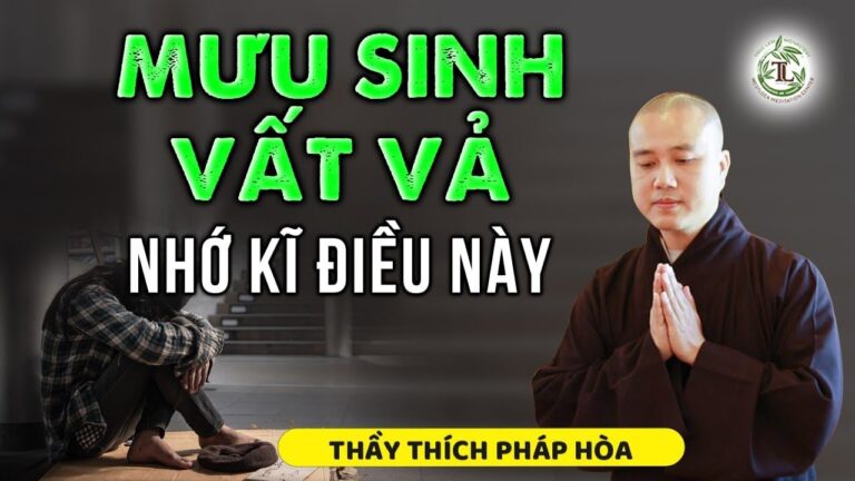 Hiểu được điều này cuộc sống mưu sinh sẽ nhẹ nhàng hơn rất nhiều – Vấn Đáp Thầy Thích Pháp Hòa