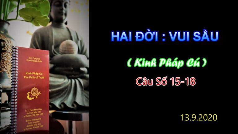 Kinh Pháp Cú – Câu số 15 – 18 – Hai Đời : Vui Sầu – Thầy Thích Pháp Hòa Tv.Trúc Lâm.Ngày 13.9.2020