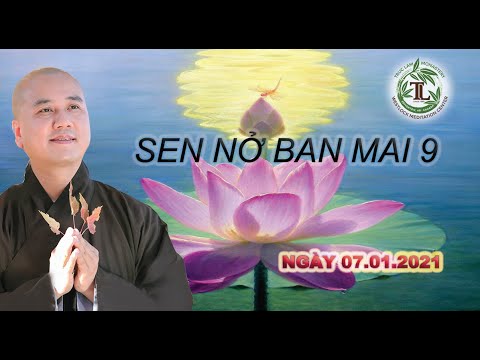 Sen Nở Ban Mai 09 -Thầy Thích Pháp Hòa (Tv.Trúc Lâm.Ngày 7.1.2021)