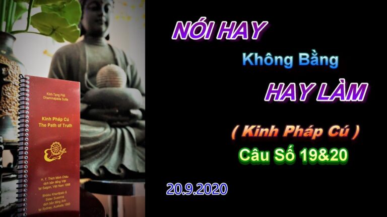 Kinh Pháp Cú – Câu số 19 & 20 – Nói Hay Không Bằng Hay Làm ̣- Thầy Thích Pháp Hòa.Tv Trúc Lâm.Ngày 20.9.2020