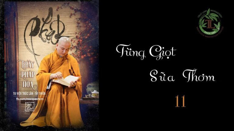 Từng Giọt Sữa Thơm 11- Thầy Thích Pháp Hòa (Tv Trúc Lâm,Ngày 28.4.2020)