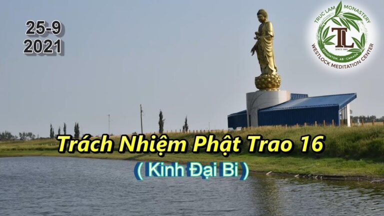 Trách Nhiệm Phật Trao 16 – Thầy Thích Pháp Hòa (Tv.Trúc Lâm.25.9.2021)