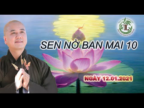 Sen Nở Ban Mai 10 – Thầy Thích Pháp Hòa (Tv. Trúc Lâm.Ngày 12.1.2021)