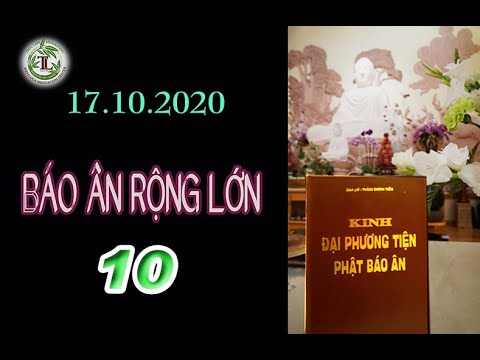 Báo Ân Rộng Lớn 10 – Thầy Thích Pháp Hòa(Tv Trúc Lâm, Ngày 17.10.2020)