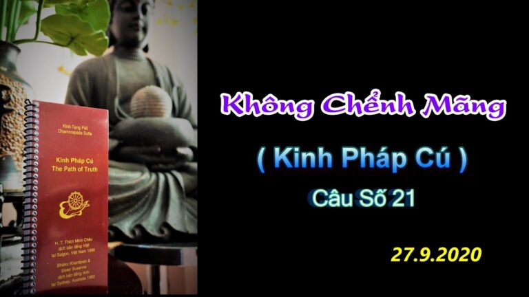 Kinh Pháp Cú – Câu số 21 – Không Chểnh Mãng – Thầy Thích Pháp Hòa Tv.Trúc Lâm.Ngày 27.9.2020