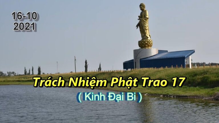 Trách Nhiệm Phật Trao 17 – Thầy Thích Pháp Hòa (Tv.Trúc Lâm.16.10.2021)