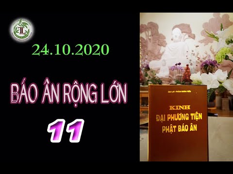 Báo Ân Rộng Lớn 11 – Thầy Thích Pháp Hòa (Tv Trúc Lâm, Ngày 24.10.2020)