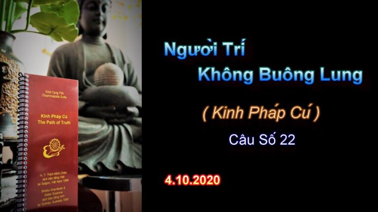 Kinh Pháp Cú – Câu số 22 – Người Trí Không Buông Lung – Thầy Thích Pháp Hòa.Tv Trúc Lâm.Ngày 4.10.2020