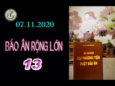 Báo Ân Rộng Lớn 13 – Thầy Thích Pháp Hoà (Tv Trúc Lâm, Ngày 07.11.2020)