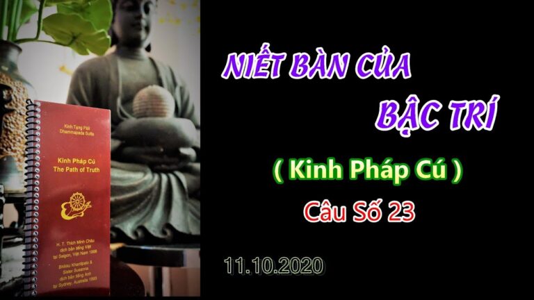 Kinh Pháp Cú – Câu số 23 – Niết Bàn Của Bậc Trí – Thầy Thích Pháp Hòa Tv Trúc Lâm.Ngày 11.10.2020