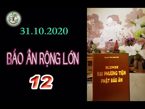 Báo Ân Rộng Lớn 12 – Thầy Thích Pháp Hòa (Tv Trúc Lâm, Ngày 31.10.2020)