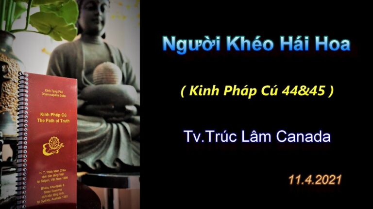 Kinh Pháp Cú – Câu số 44 & 45 – Người Khéo Hái Hoa – Thầy Thích Pháp Hòa (Tv.Trúc Lâm.Ngày11.4.2021)