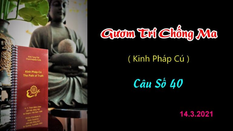 Kinh Pháp Cú – Câu số 40 – Gươm Trí Chống Ma – Thầy Thích Pháp Hòa ̣̣̣(Tv.Trúc Lâm.Ngày14,3,2021)