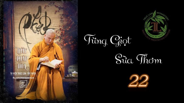 Từng Giọt Sữa Thơm 22 – Thầy Thích Pháp Hòa( Tv Trúc Lâm, Ngày 3.6.2020)