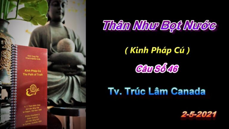 Kinh Pháp Cú – Câu số 46 – Thân Như Bọt Nước – Thầy Thích Pháp Hòa (Tv.Trúc Lâm.Ngày 2.5.2021)