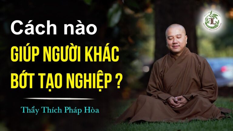 Cách nào giúp người khác BỚT TẠO NGHIỆP? – Vấn Đáp Thầy Thích Pháp Hòa (hay quá)