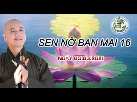 Sen Nở Ban Mai 16 – Thầy Thích Pháp Hòa (Tv.Trúc Lâm.Ngày9,3,2021)