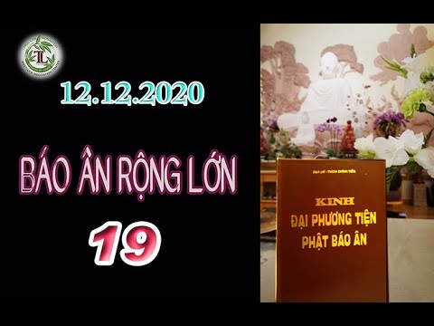 Báo Ân Rộng Lớn 19 – Thầy Thích Pháp Hòa (Tv Trúc Lâm, ngày 12.12.2020)