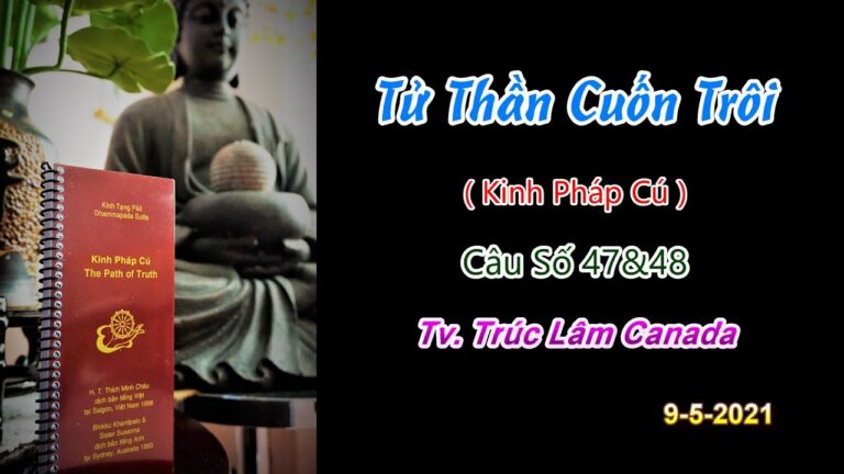 Kinh Pháp Cú – Câu số 47 & 48 – Tử Thần Cuốn Trôi – Thầy Thích Pháp Hòa (Tv.Trúc Lâm.Ngày 9.5.2021)