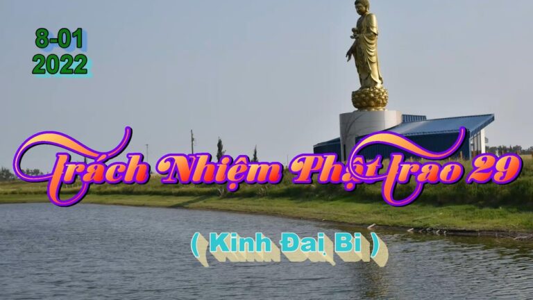 Trách Nhiệm Phật Trao 29 – Thầy Thích Pháp Hòa (Tv.Trúc Lâm.8.1.2022)