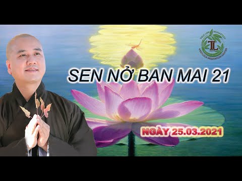 Sen Nở Ban Mai 21 – Thầy Thích Pháp Hòa (Tv.Trúc Lâm.Ngàỵ.3.2021)