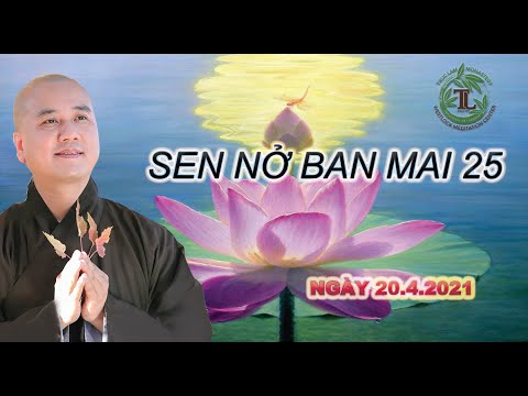 Sen Nở Ban Mai 25 – Thầy Thích Pháp Hòa (Tv.Trúc Lâm.Ngày 20.4.2021)