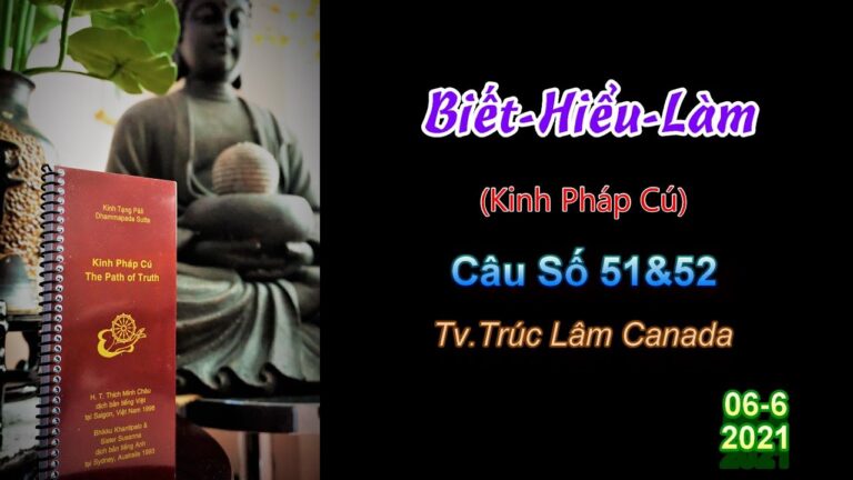 Kinh Pháp Cú – Câu số 51 & 52 – Biết-Hiểu-Làm – Thầy Thích Pháp Hòa (Tv.Trúc Lâm.Ngày 6.6.2021)