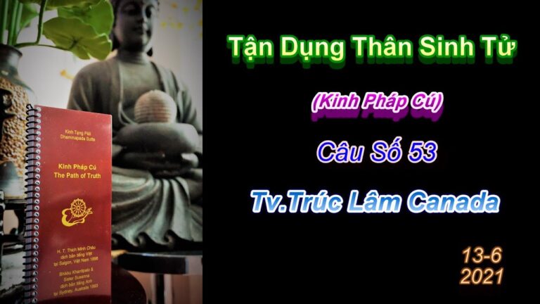 Kinh Pháp Cú – Câu số 53 – Tận Dụng Thân Sinh Tử – Thầy Thích Pháp Hòa (Tv.Trúc Lâm.Ngày 13.6.2021)