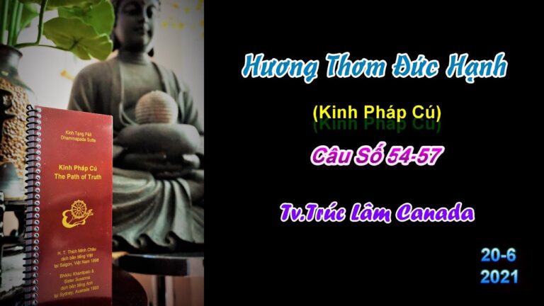 Kinh Pháp Cú – Câu số 54 – 57 – Hương Thơm Đức Hạnh – Thầy Thích Pháp Hòa (Tv.Trúc Lâm.Ngày 20.6.2021)