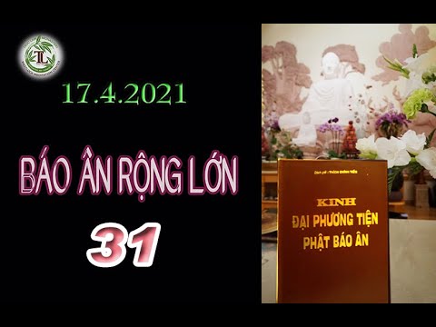 Báo Ân Rộng Lớn 31 – Thầy Thích Pháp Hòa (Tv Trúc Lâm, ngày 17.4.2021)