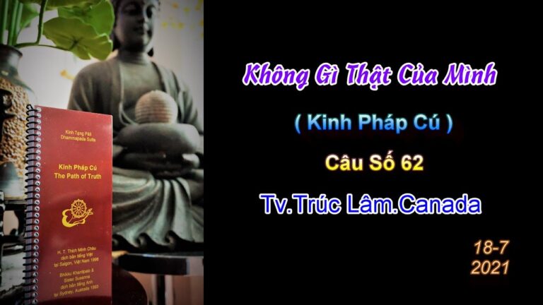 Kinh Pháp Cú – Câu số 62 – Không Gì Thật Của Mình – Thầy Thích Pháp Hòa (Tv.Trúc Lâm.18.7.2021)