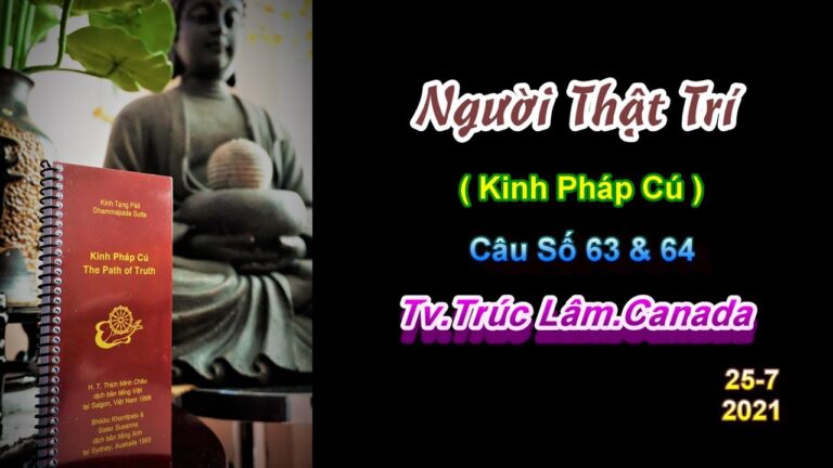 Kinh Pháp Cú – Câu số 63 & 64 – Người Thật Trí – Thầy Thích Pháp Hòa (Tv.Trúc Lâm 25.7.2021)