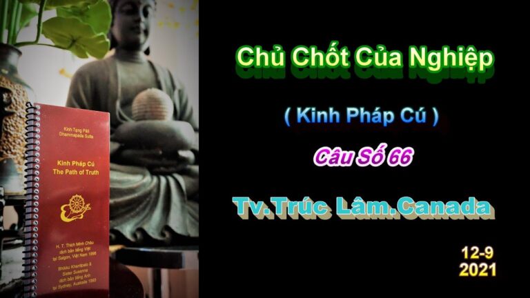 Kinh Pháp Cú – Câu số 66 – Chủ Chốt Của Nghiệp – Thầy Thích Pháp Hòa (Tv.Trúc Lâm.12.9.2021)