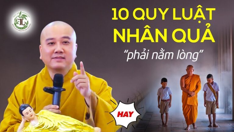 Hiểu được 10 Quy Luật Nhân Quả này cuộc sống sẽ bớt khổ đau nhiều lắm – Thầy Thích Pháp Hòa