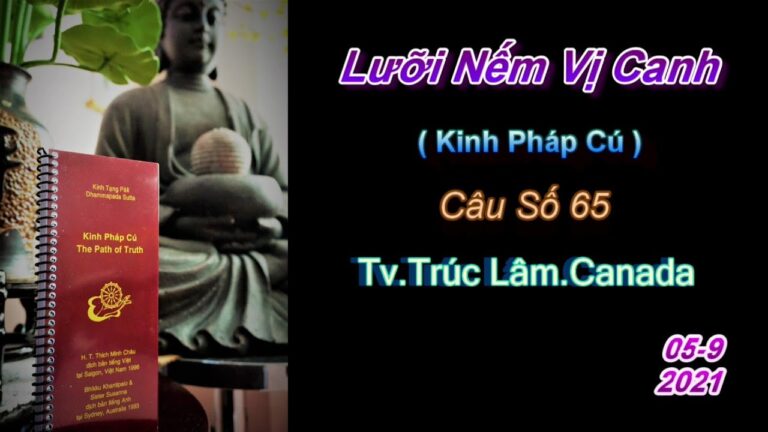 Kinh Pháp Cú – Câu số 65 – Lưỡi Nếm Vị Canh – Thầy Thích Pháp Hòa (Tv Trúc Lâm,Ngày 5.9.2021)