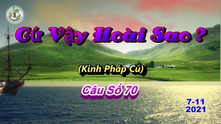 Kinh Pháp Cú – Câu số 70 – Cứ Vậy Hoài Sao ? –  Thầy Thích Pháp Hòa (Tv.Trúc Lâm.7.11.2021)