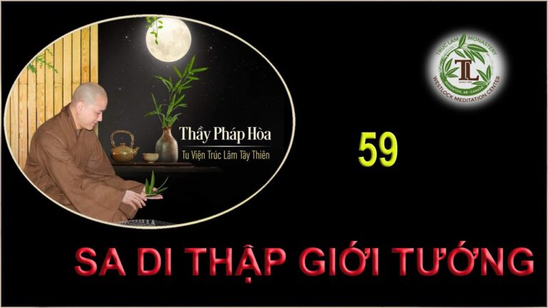 Từng Giọt Sữa Thơm 59 – Thầy Thích Pháp Hòa (Tv Trúc Lâm, Ngày 27.8.2020)