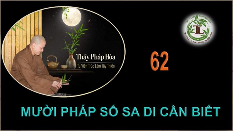 Từng Giọt Sữa Thơm 62 – Thầy Thích Pháp Hòa (Tv Trúc Lâm, Ngày 15.9.2020)