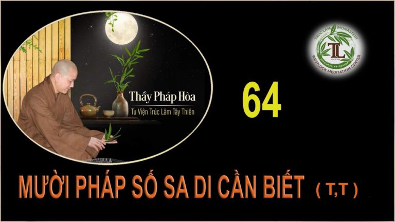 Từng Giọt Sữa Thơm 64 – Thầy Thích Pháp Hòa (Tv Trúc Lâm, Ngày 17.9.2020)