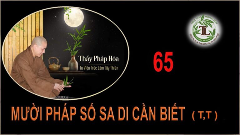 Từng Giọt Sữa Thơm 65 – Thầy Thích Pháp Hòa (Tv Trúc Lâm, Ngày 18.9.2020)