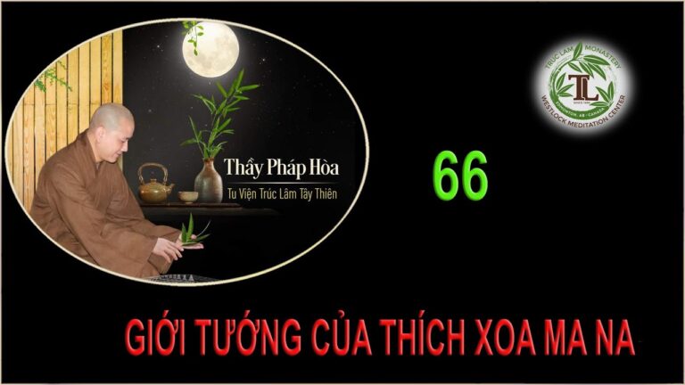 Từng Giọt Sữa Thơm 66 – Thầy Thích Pháp Hòa (Tv Trúc Lâm, Ngày 29.9.2020)