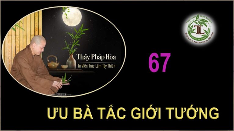 Từng Giọt Sữa Thơm 67 – Thầy Thích Pháp Hòa (Tv Trúc Lâm, Ngày 30.9.2020)